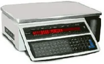 Электронные весы c печатью этикеток DIGI SM-100P